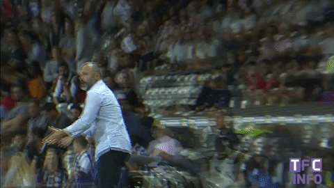 toulousefc giphygifmaker sports soccer coach GIF