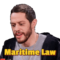 Pete Davidson Wings Sticker by First We Feast