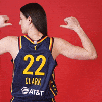 Basketball Wnba GIF by Indiana Fever