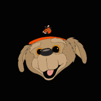 Beto Coyote GIF by Naranjeros de Hermosillo