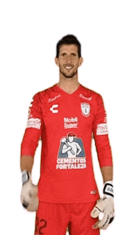 Liga Mx Cf Pachuca Sticker by Club Pachuca Tuzos