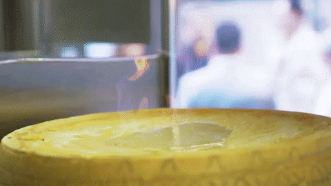 cheese wheel pasta GIF by evite
