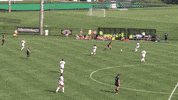 LafayetteLeopards soccer goal womens soccer lafayette GIF