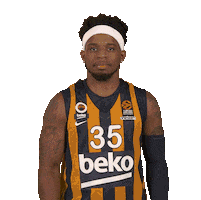 Basketball Sticker by EuroLeague