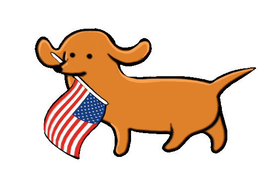 Voting Independence Day Sticker by Stefanie Shank