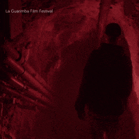 Discover Going Down GIF by La Guarimba Film Festival