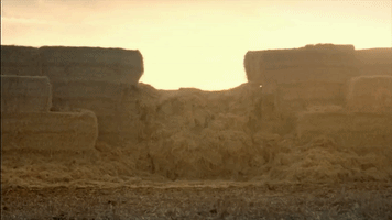 matt leblanc tracktor GIF by Top Gear