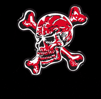duffmckagan skull guns n roses duff duff mckagan GIF