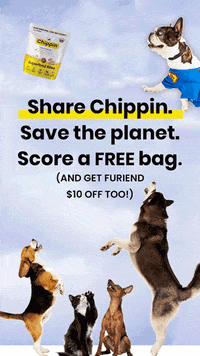 Chippin  GIF