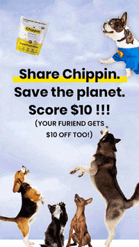 Chippin  GIF
