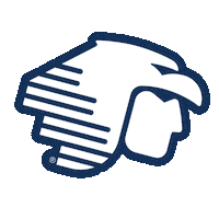 Piloto Caballero Sticker by Aeromexico Formación