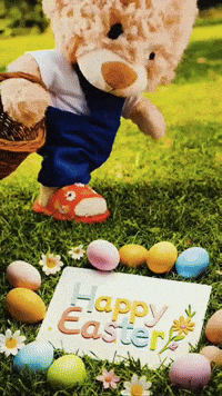 Instagram Spring GIF
