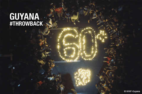 Switch Off Lights Out GIF by Earth Hour