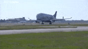 Take Off Plane GIF by euronews