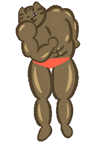 Cat Muscle Sticker