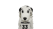 Dog Mascot Sticker by Providence Friars