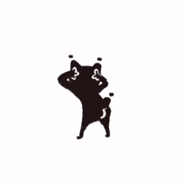 Dance GIF