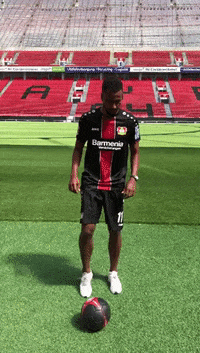 stÃ¤rkebayer GIF by Bayer 04 Leverkusen