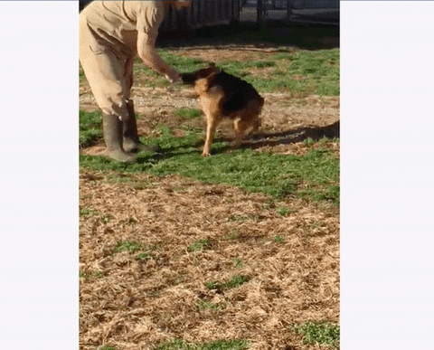 GIF by Mashable