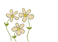 Wild Flowers Daisy Sticker