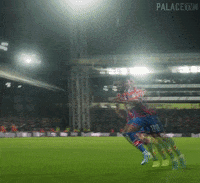 Crystal Palace Football GIF by CPFC