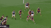 GIF by Port Adelaide FC