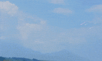 Bini GIF