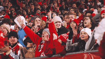 College Football GIF by Wisconsin Badgers
