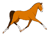 Horse Turkey Sticker by goreme valley cave house