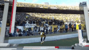 Pittsburgh Steelers Football GIF by NFL