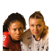 Sport Handball Sticker