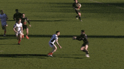 GIF by Rugbydump
