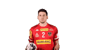 HandballAustria handball ohb handball austria alexander hermann Sticker