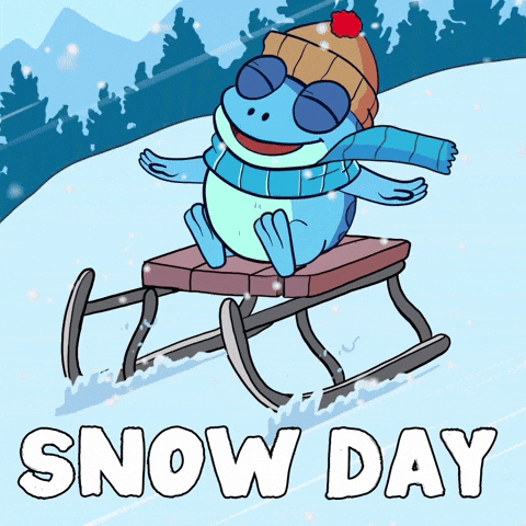 Sledding Snow Day GIF by Croakey