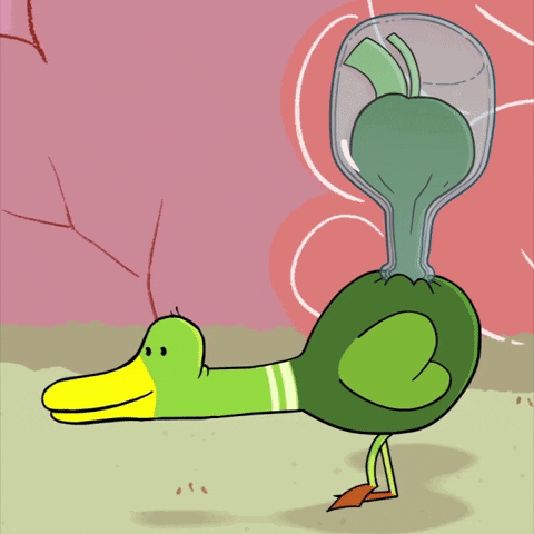 awkward duck GIF by Cartoon Hangover