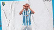 Football Tor GIF by ChemnitzerFC