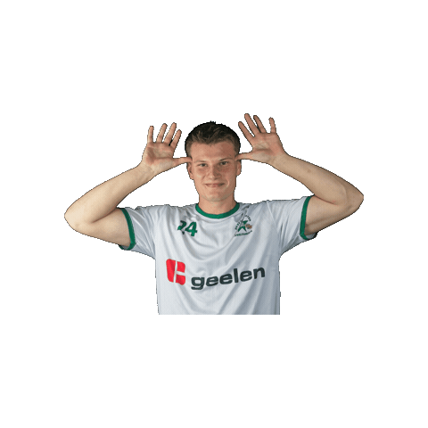 Sport Heerlen Sticker by Groene ster