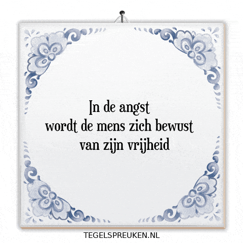 Humor Nl GIF by Tegelspreuken.nl