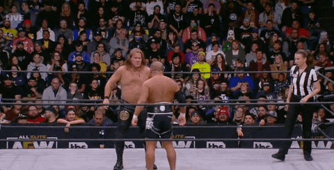 Chris Jericho Wrestling GIF by AEWonTV