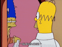 homer simpson GIF
