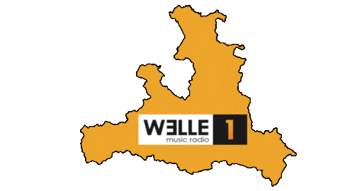 Music Radio Sticker by WELLE 1