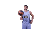 Liga Endesa Sport Sticker by ACB
