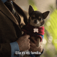 Dog Television GIF by ABC Network