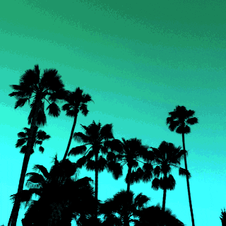 palm trees california GIF by Jess