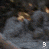 Happy Naked And Afraid GIF by Discovery