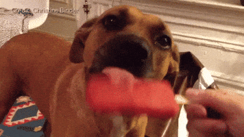 Licking Ice Cream GIF by Badass BK