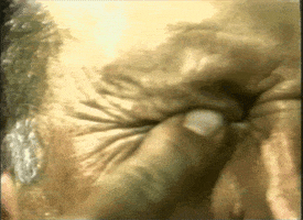 contemporary art poke in the eyenoseear GIF by Art21