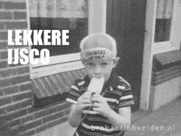 Ijsje GIF by BrabantinBeelden
