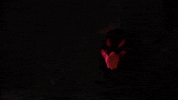 Jack O Lantern Halloween GIF by WaterlooSci