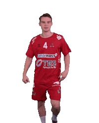 Wilhelmshaven Whv Sticker by whvhandball